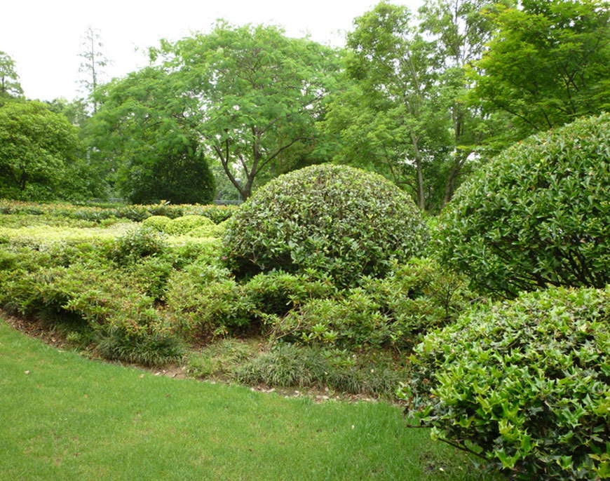 紅梅公園