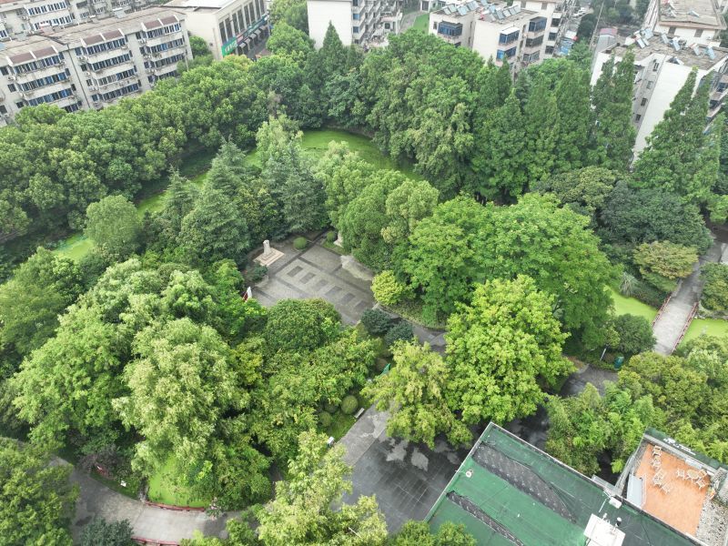 花溪公園