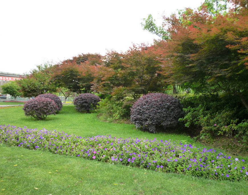 紅梅公園