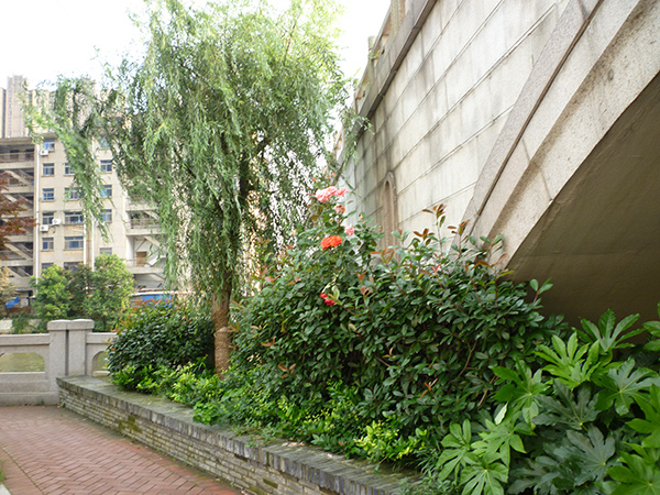 常州生態(tài)綠城建成老運河