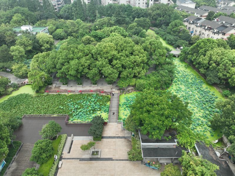 花溪公園