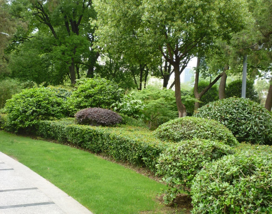 紅梅公園