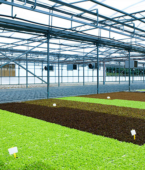 Irrigation Systems Irrigation Systems