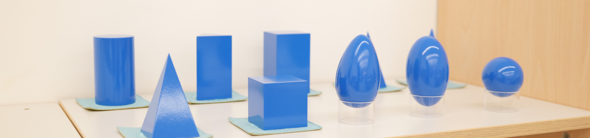 The Montessori Courses