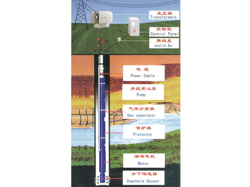 Electric submersible pump unit