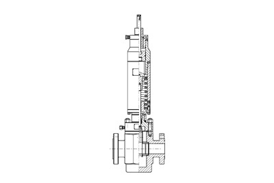 Safety valve