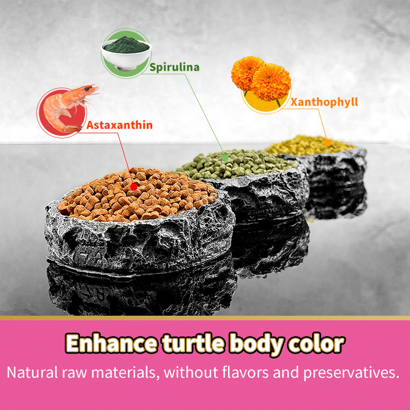 Three-color multi-function Turtle feed
