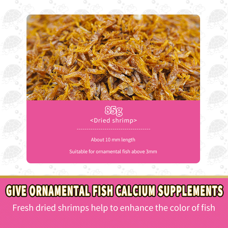 Red shrimp for tropical small fish food