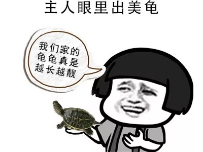 有颜任性——龟之美色