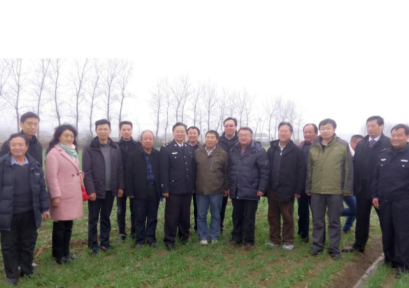 國家農業部糧食作物處帶領十余個省小麥專家及鑫樂公司總經理在江蘇、安徽兩省十余個縣考察小麥越冬期苗情