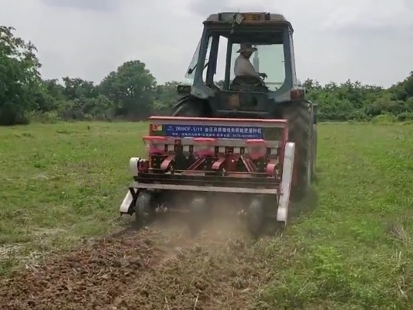 柬埔寨玉米播种