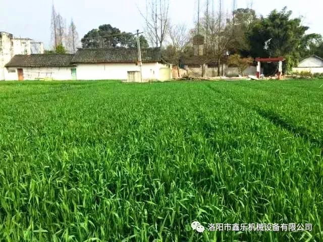 2019洛阳市鑫乐机械设备有限公司春季经销商大会圆满召开