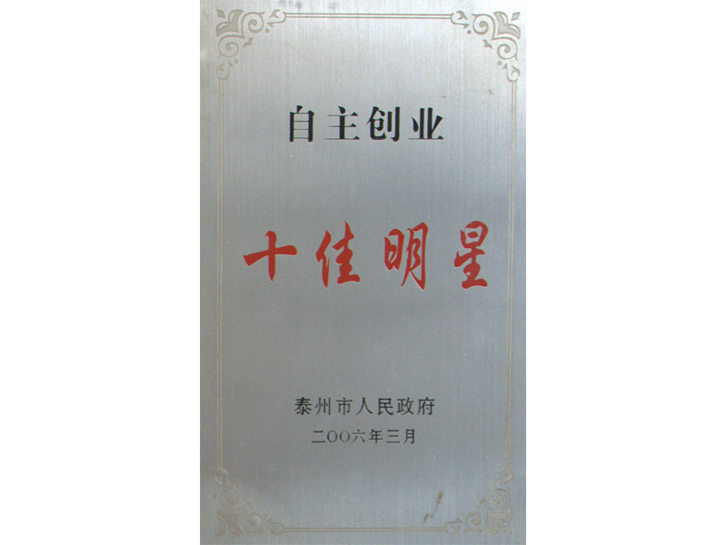 自主創(chuàng)業(yè)十佳明星