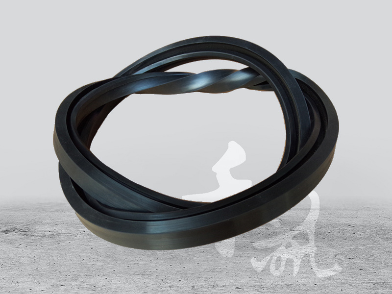 No skeleton oil seal