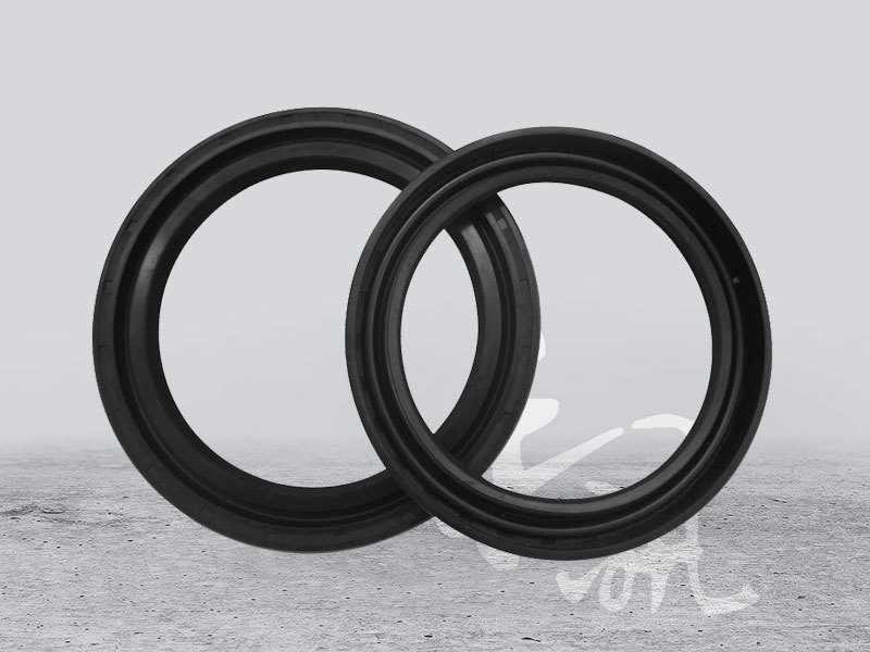 TC skeleton oil seal