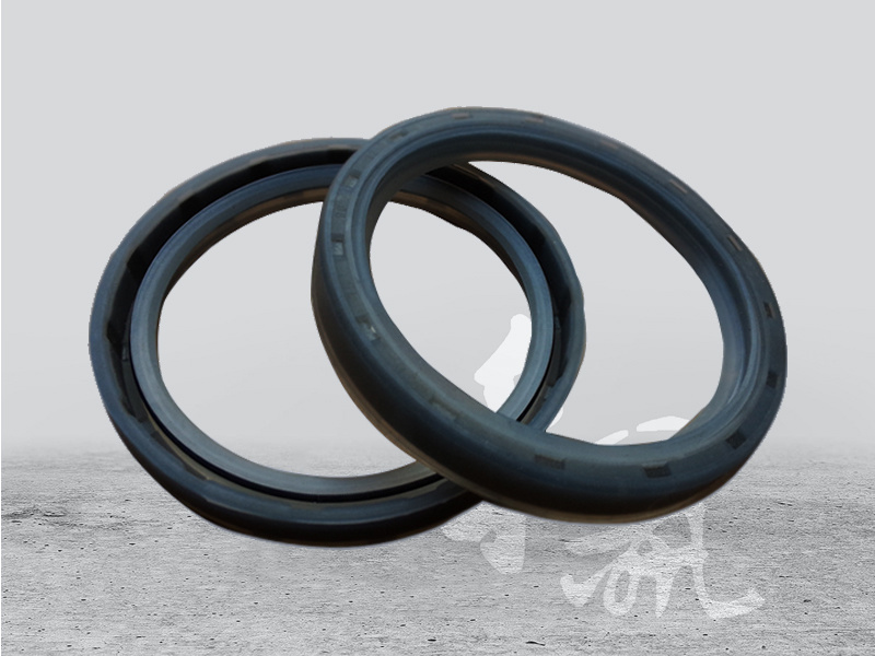 Silicone oil seal