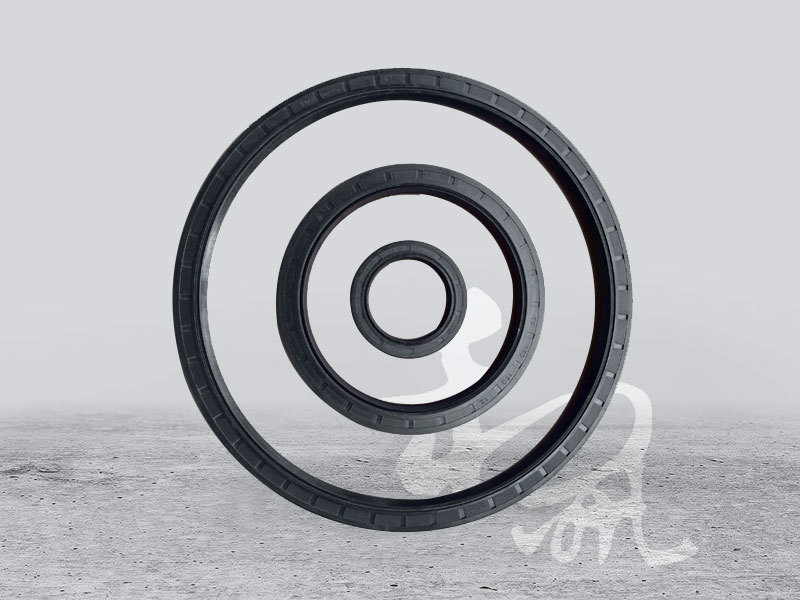 Skeleton oil seal