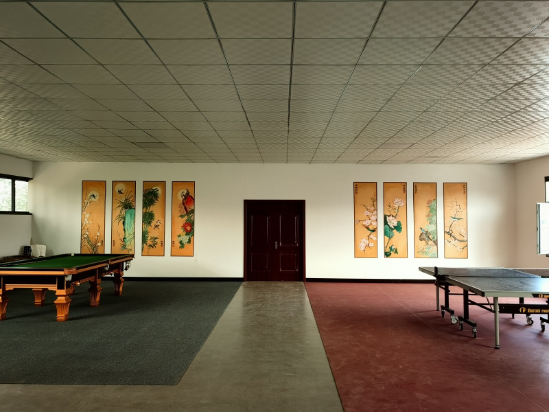 Entertainment area