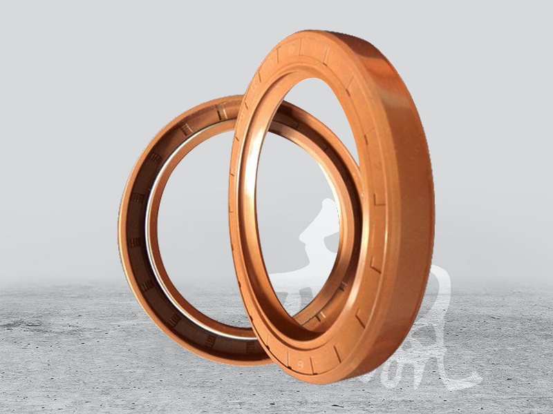 Fluorine rubber oil seal