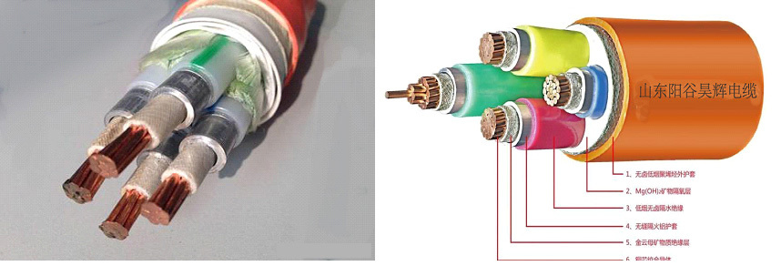 Schematic Diagram and Physical Drawing of Cable Structure