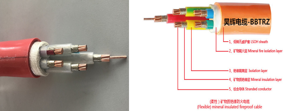 Cable structure diagram and physical diagram