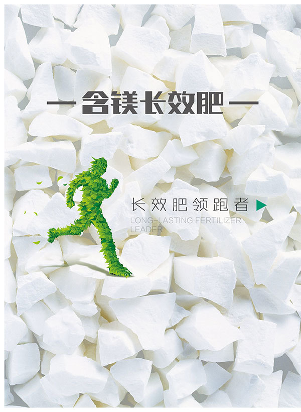 企业图册