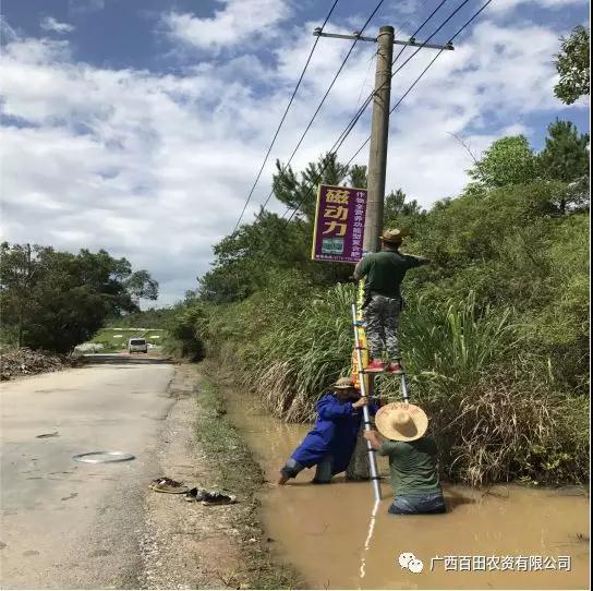 广西百田农资有限公司