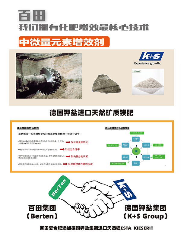 企业图册