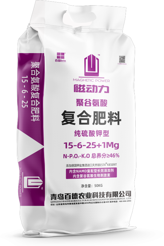磁动力46正