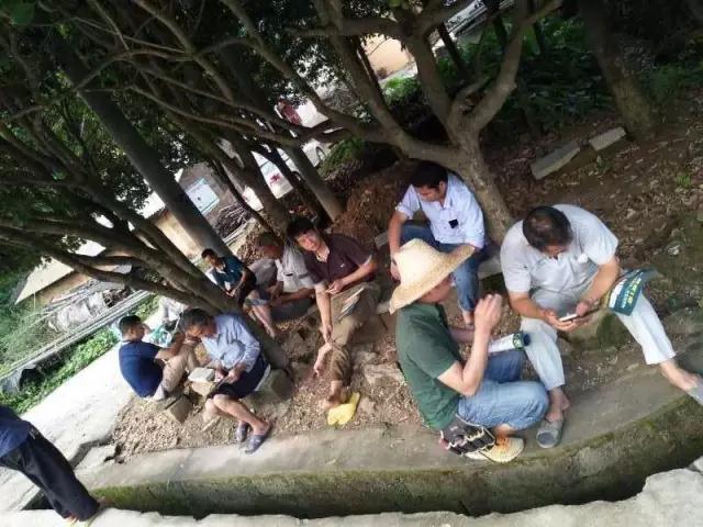 广西百田农资有限公司