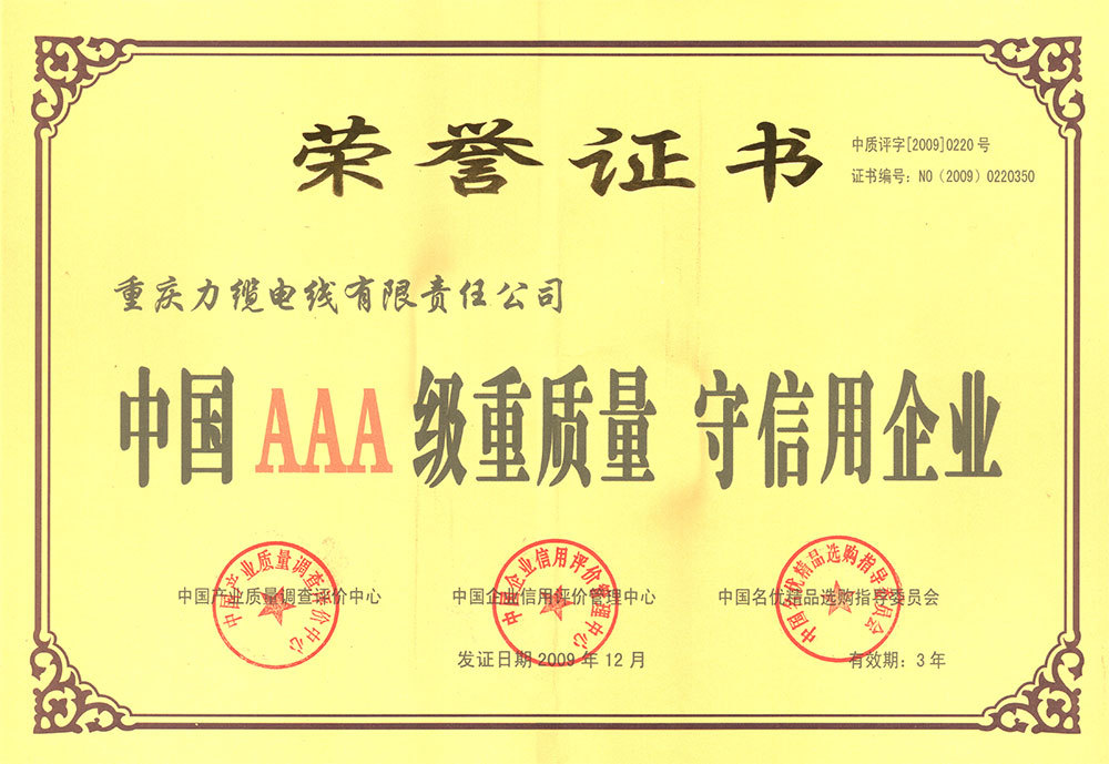 2009年AAA证书