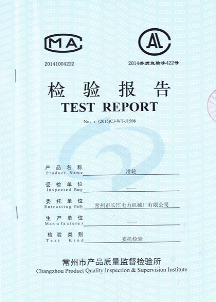 滑轮检验报告