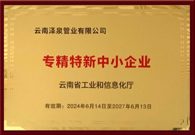 喜報！云南澤泉榮獲2024年度云南省“專精特新”中小企業(yè)和“創(chuàng)新型中小企業(yè)”榮譽！