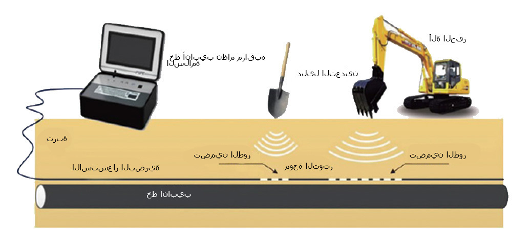 تأثير التطبيق