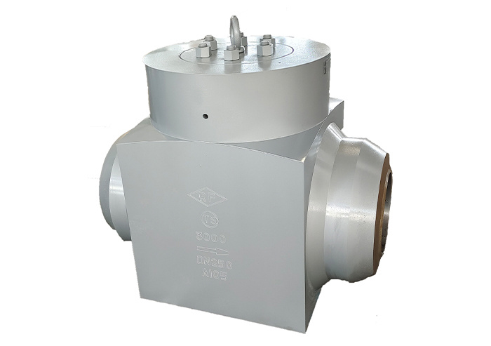 Supercritical forged steel check valve