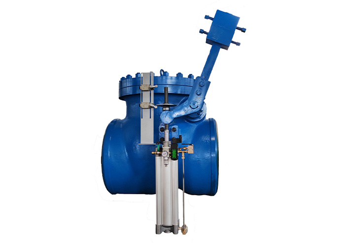 Extraction steam check valve