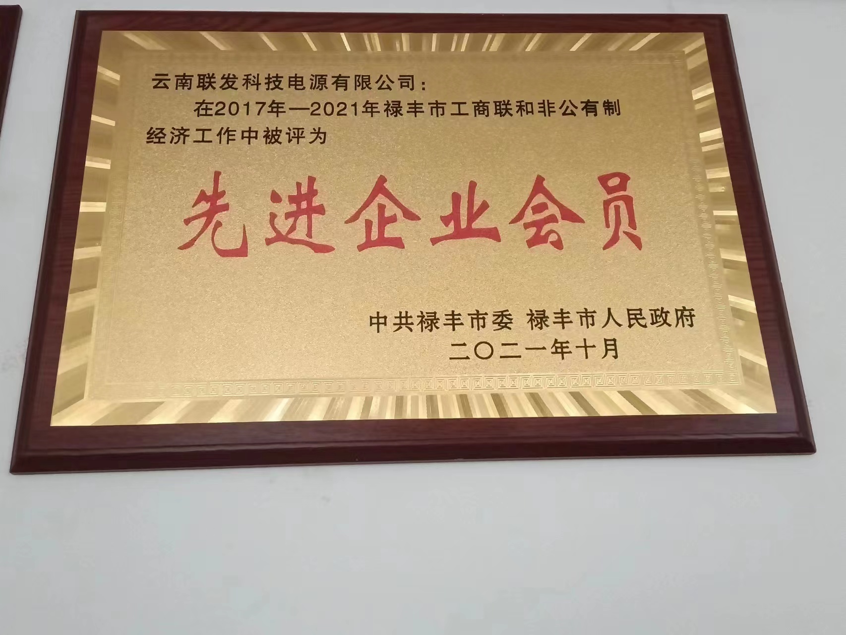先進(jìn)企業(yè)會(huì)員