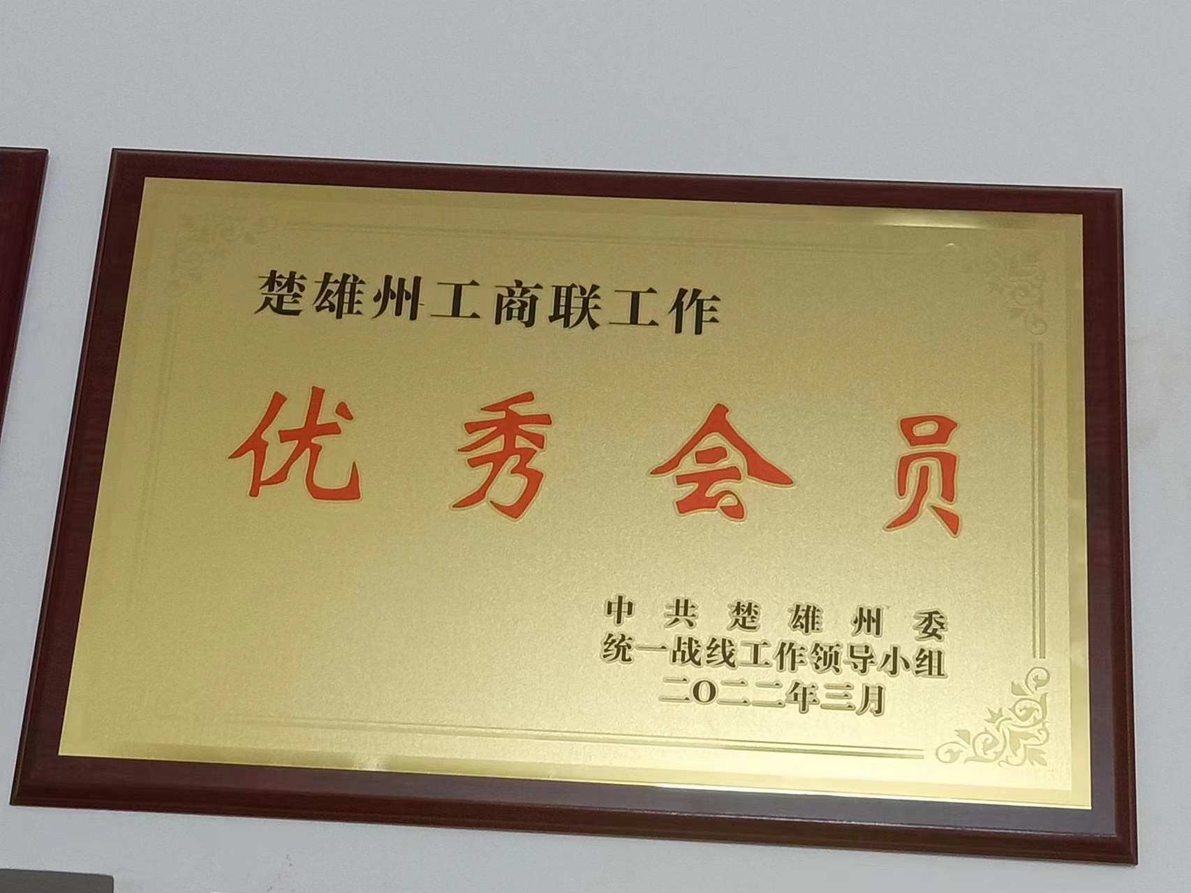 楚雄工商聯(lián)優(yōu)秀會(huì)員