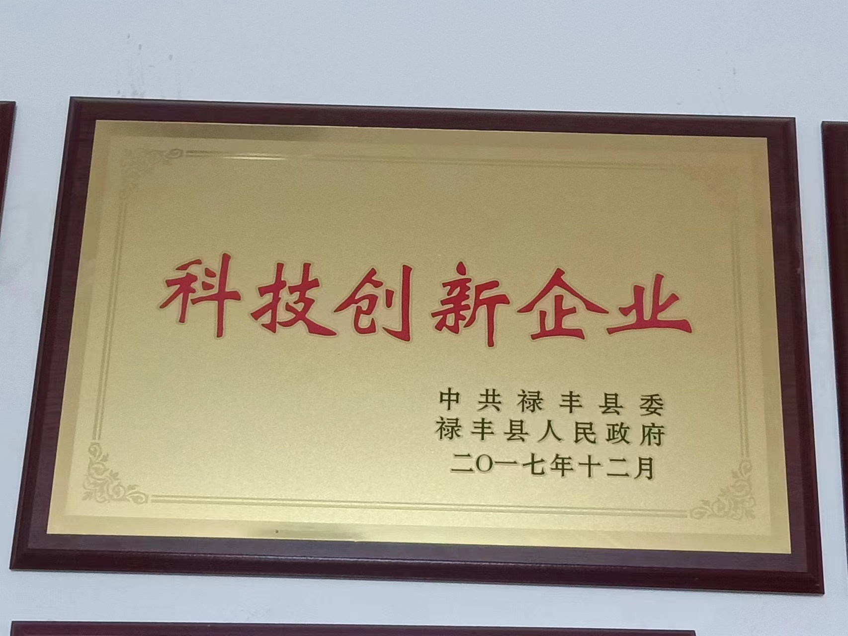 科技創(chuàng)新企業(yè)