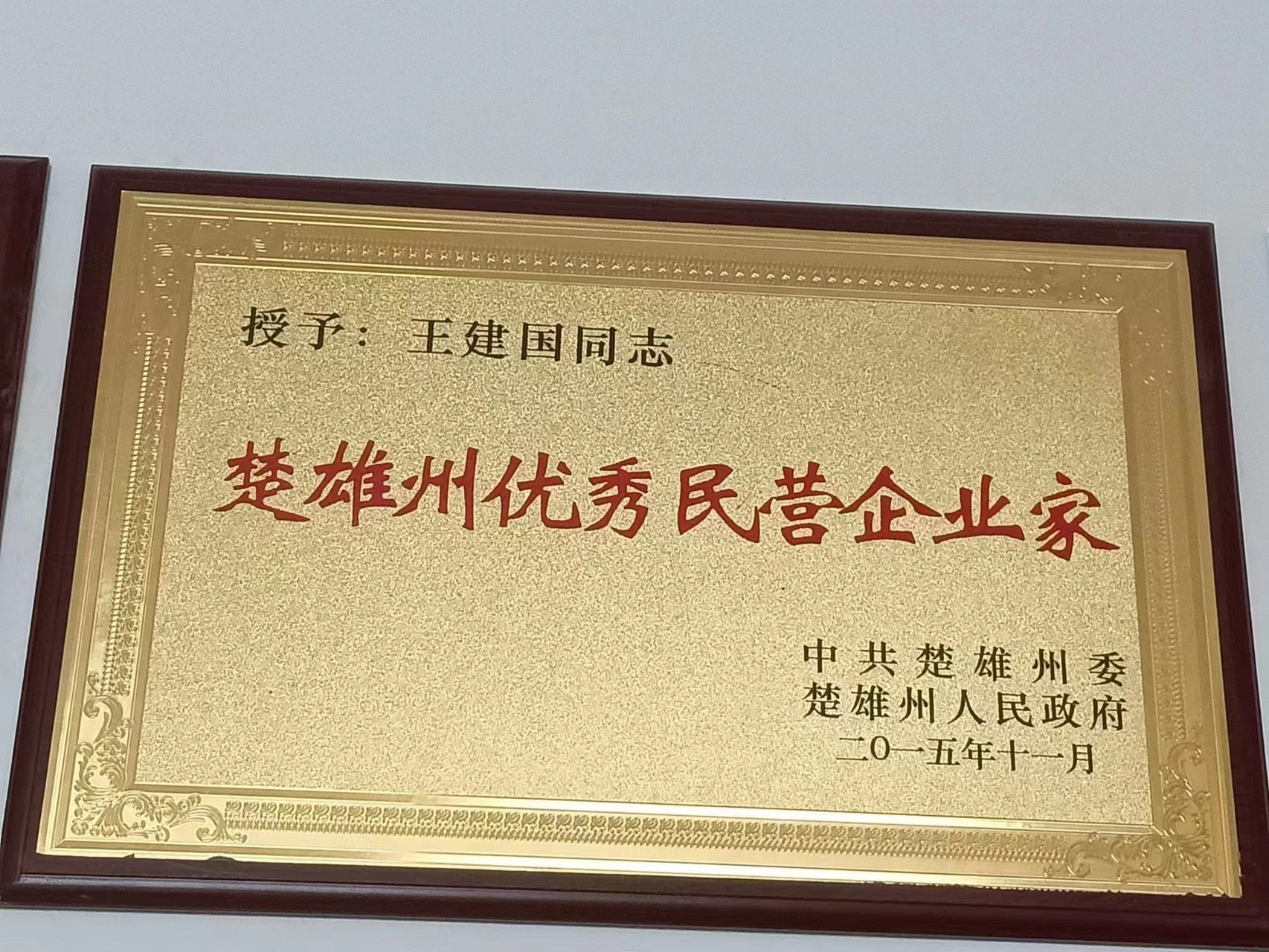 楚雄州優(yōu)秀民營(yíng)企業(yè)家