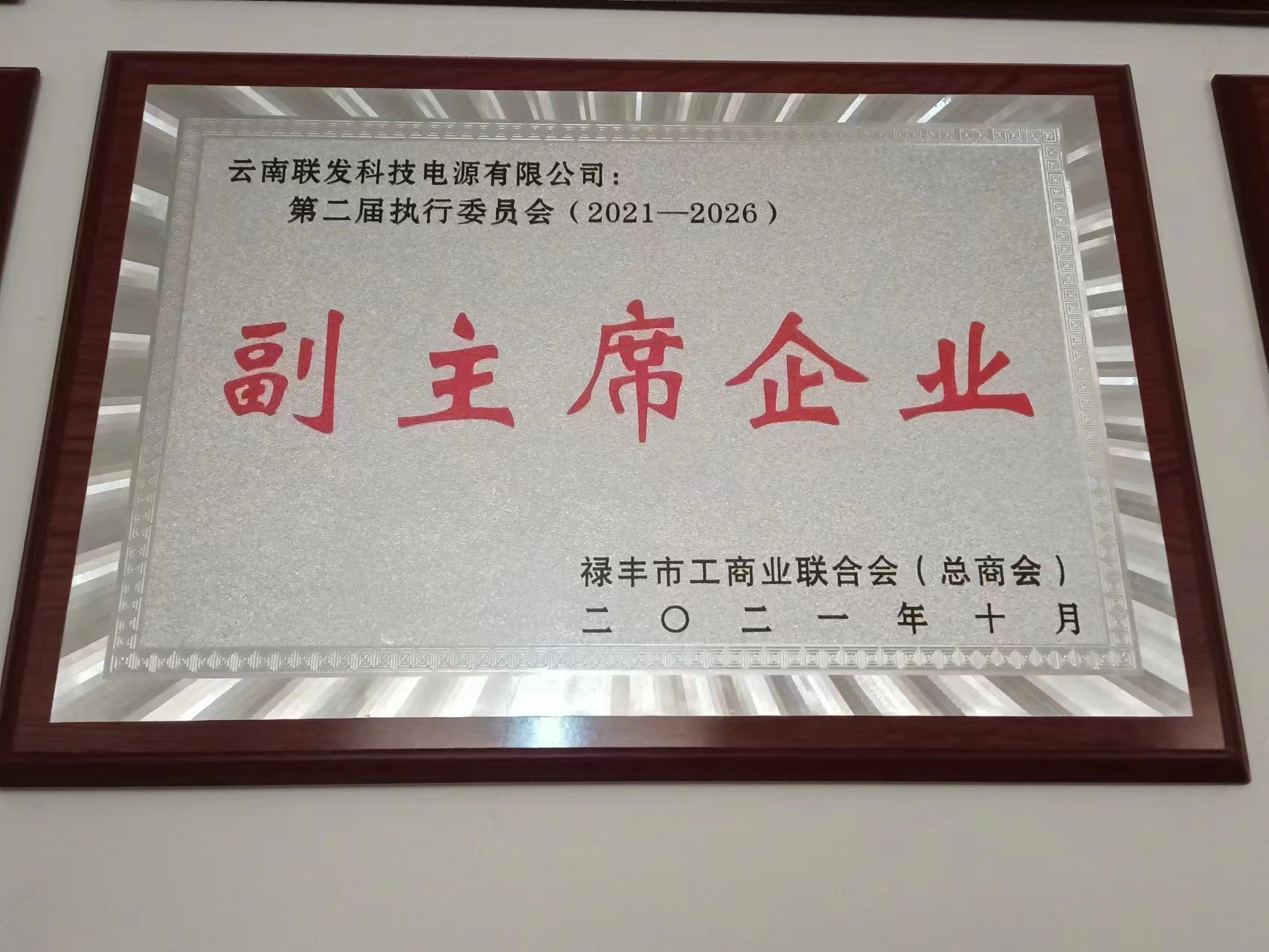 祿豐市工商聯(lián)副主席單位