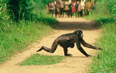 Congo