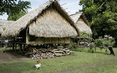 Papua New Guinea