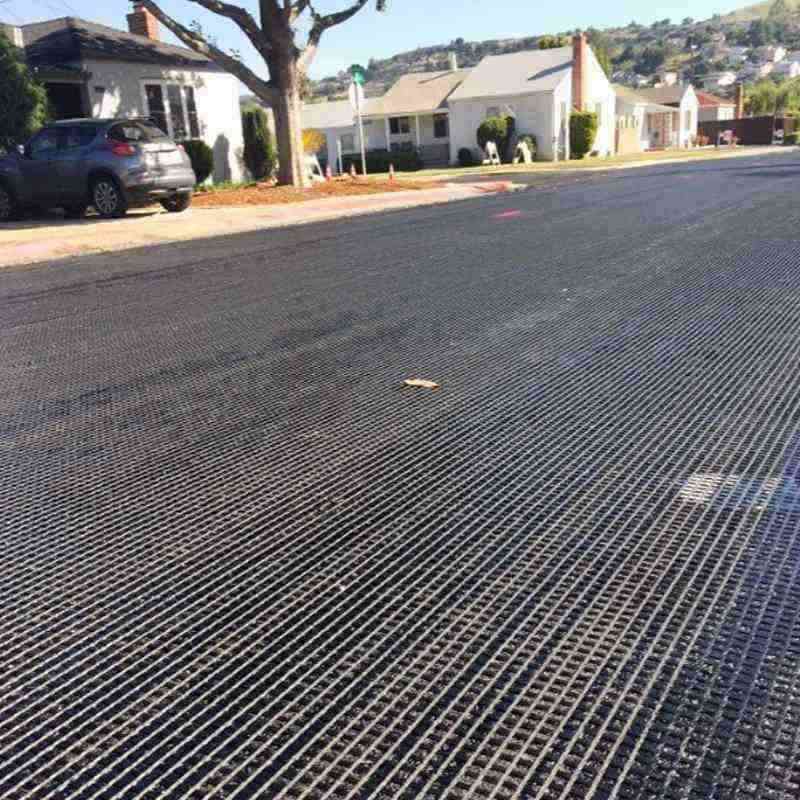 Composite Geogeid Polyester Geogrid Steel-Plastic Geogrid