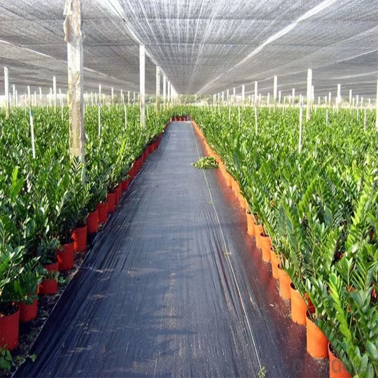 Garden cloth Anti grass cloth
