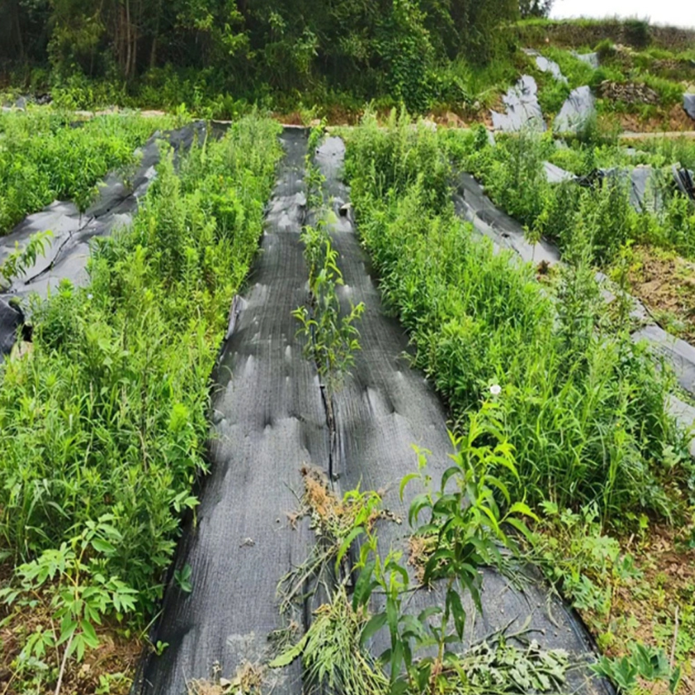 Filter Geotextile PP Weed Barrier/Landscape/Anti Grass Cloth