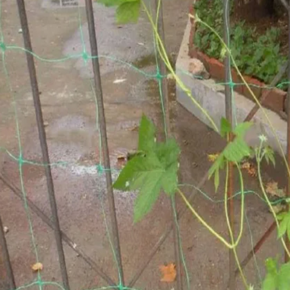 Animal husbandry Bop Stretched Net