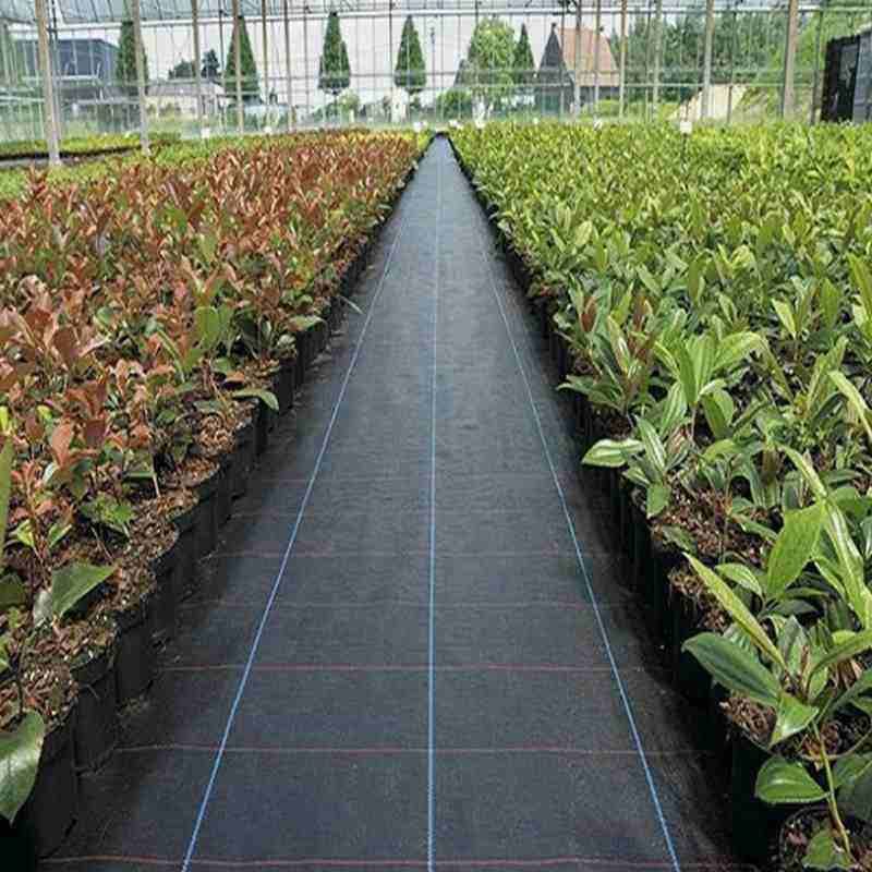 Anti-Aging Weeding Pad Orchard 100g Grass Proof and Weeding Cloth Manufacturer