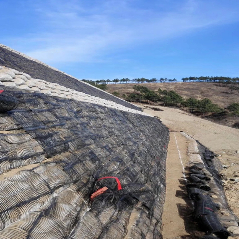 New Materials Geogrid Manufacturers Sell PP Plastic Uniaxial Geogrid