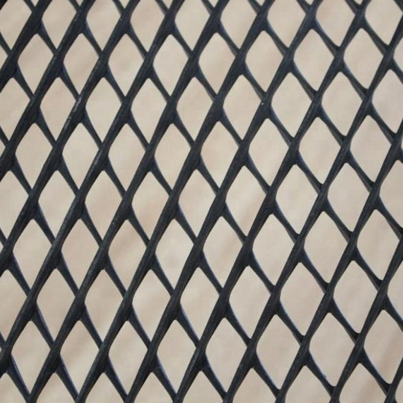 Ce121 Ce131 HDPE Geonet Green Color Black Color Ce Certificate